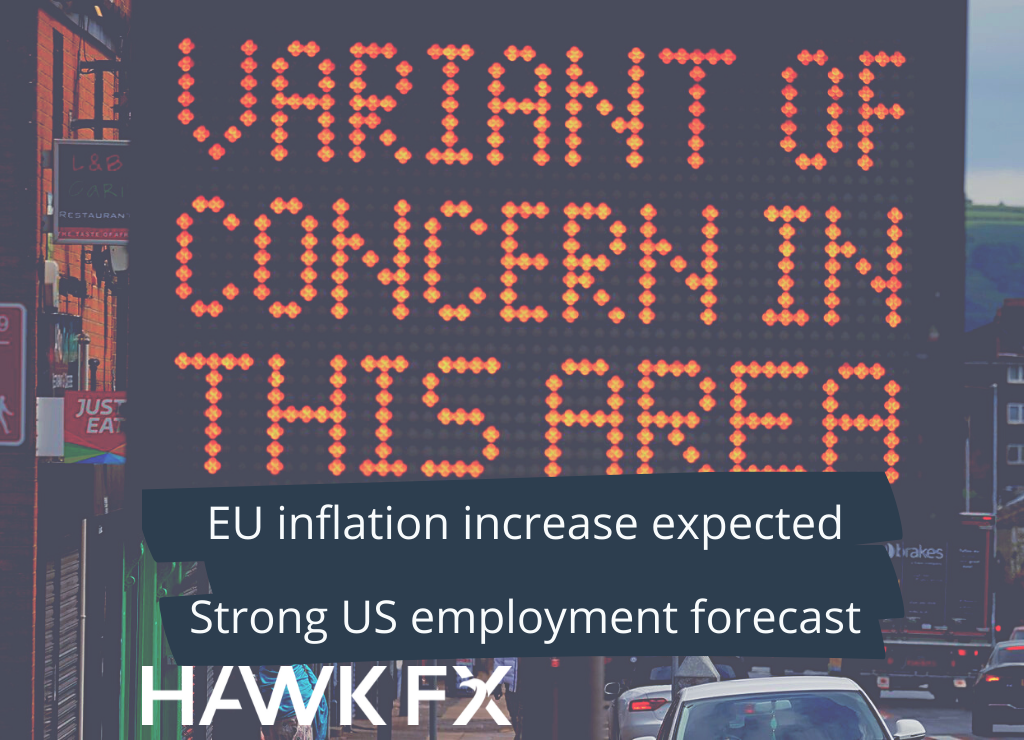 India Covid variant Blog – Hawk FX India Covid variant Blog