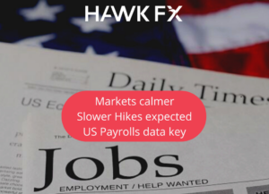 Markets-calmer-Slower-Hikes-expected-Blog